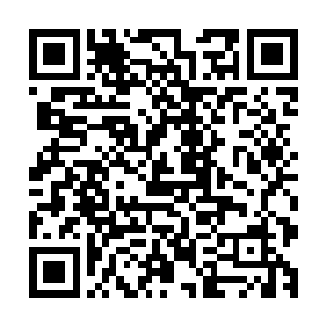 有了这个杀气的话龙傲天在以后对敌的时候又多了一项杀手锏二维码生成