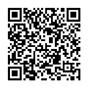 有了这个老来子之后对大儿子就是不闻不问的……二维码生成