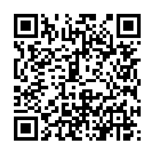 有了这些东西之后大家才能够在阵法中安然的活动二维码生成