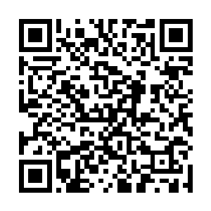 有了这些东西恐怕能够建立起一个霸绝神界的超级势力二维码生成