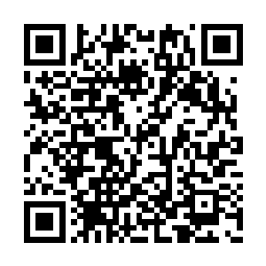 有了这具拥有不朽境界力量和体魄的傀儡兽相助二维码生成