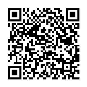 有了韩建业那句放下武器既往不咎这话众人也不反抗二维码生成