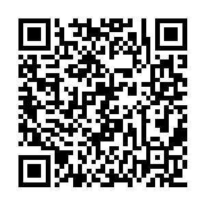 有了龙家的保证两个人这次的任务也就算完成了二维码生成