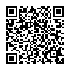 有些个早前瞧着不错扯进怀中香了几口后结果便忘了的二维码生成