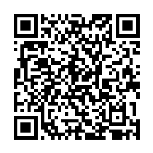 有些则像细微的物质粒子一样的在做着无规则的布朗运动二维码生成