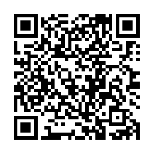 有些呆呆的看着消失在那道巨大的黄金颜色大门的身影二维码生成