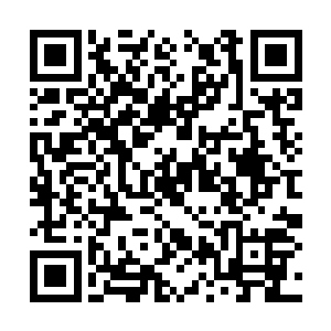 有些奇怪的看着远处似乎正在向这边靠过来的黑影二维码生成