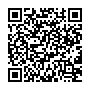 有些是在禁古之界外域其他火属性元域地方狩猎得来二维码生成