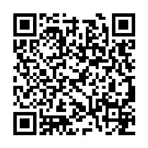 有些是葛二蛋他们这一哨的人也给葛二蛋他们求情二维码生成