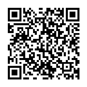 有些童言童语总是把木萦和偶尔也一起玩的风幽幽给乐的不行二维码生成