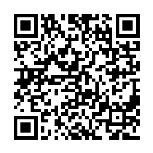 有些类似于四大真界的天道以及当年的九大圣尊二维码生成