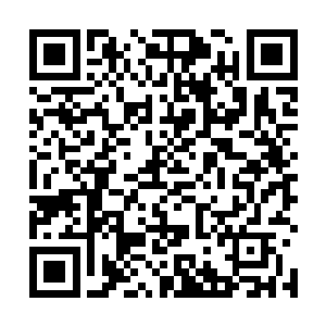 有些自哀自怜的看了看自己身上这一袭v字领的紧身羊绒裙二维码生成