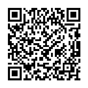 有些蛰伏于地底的妖兽甚至能组成数百头的兽群二维码生成