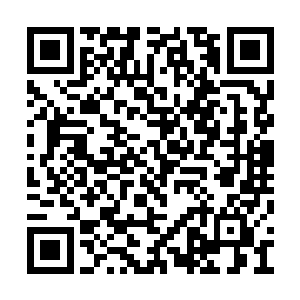 有些词真是再大一点的孩子都念不下来的她可以二维码生成
