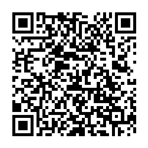 有些诧异的整齐排好跟同样表情的王寅淞一起听着他们从未听过的东西二维码生成