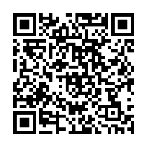 有些龙甚至一生不管怎么努力都无法学会呼风唤雨二维码生成