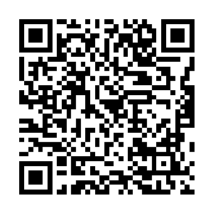有人之前在血狱外听到许宾白和那御灵阁长老之间的对话二维码生成