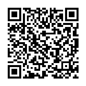 有人从赵纯良的身体变化看出了赵纯良所使用的法术二维码生成