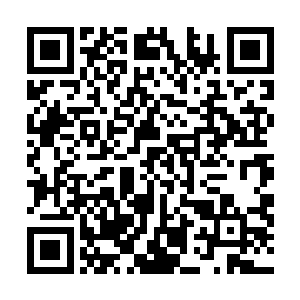 有人传说她正利用难得的休息时间和切萨雷正在划分公司二维码生成