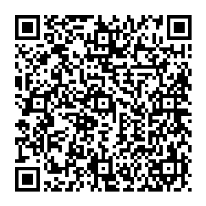 有人假装成我的样子在福海城行凶之后又把我从飞艇上引到野外与从福海城中追击出来的骑士碰上二维码生成