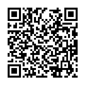 有人把君陌非和董小忍之间想象成美好的爱情故事二维码生成