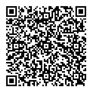 有人指着大军中悬浮在空中迎风猎猎作响的一面绣有一朵燃烧着熊熊火焰的灯芯和一面绣着一座金光万丈巨殿的旗帜二维码生成