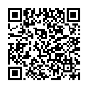 有人甚至拿着手里的mp5冲锋枪对着从窗玻璃一阵扫射二维码生成