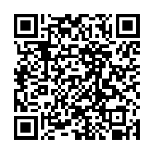 有任何一个导演能在杜克这样的年龄创造如此的成就吗二维码生成