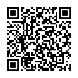 有任何企图靠近冒犯的生物都会遭到毫不留情的惩罚二维码生成