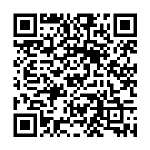 有任何消息我会第一时间通知您……一切万无一失二维码生成