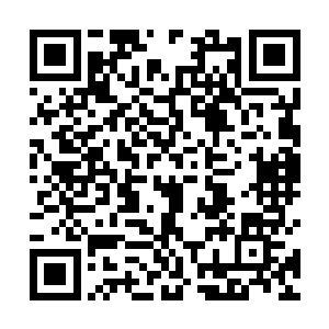 有修炼到八品尊者境界的人竟然还不知道外面的情况的二维码生成