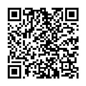 有充分的证据可以表明是普希金用来决斗的手枪二维码生成