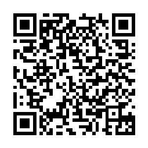 有六百亿左右的其他位面侵略者从位面之门中过来二维码生成
