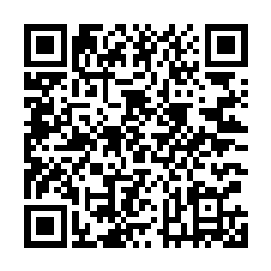 有关修真的东西我都记载在这玉简里你们先拿去熟悉一下二维码生成