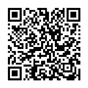 有关唐劫为何会知道这王庭中一切的缘故再度被搁置二维码生成