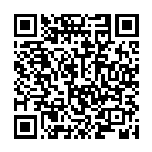 有关奥利维亚的一切信息就全部送到西瑟夕里手中了二维码生成