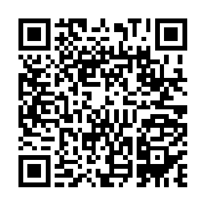 有关诸神二队队员们的各种情报……结果全都成了无用功二维码生成