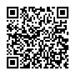 有几个不识货的家伙看到大家吃惊的表情心中还纳闷的二维码生成