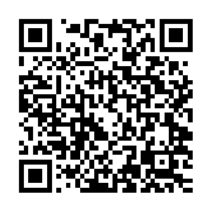 有几个全副武装的保安正在来回巡逻――这不是别墅区里的保安二维码生成