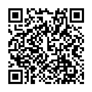 有几个和衣家有关系的少年少女都忍不住落泪了二维码生成