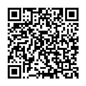 有几只朝下掉得飞快眼看着就要落到了我眼里的二维码生成