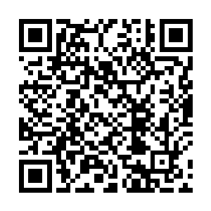 有几家十二支的势力和下面一些小势力现在已经关门了二维码生成