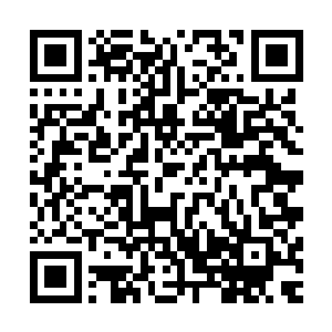 有几把伞甚至还没等绕过牡丹院儿的影壁墙就已经被风吹散了二维码生成
