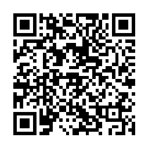 有几次他看到纳甲土尸经常用眼睛瞄着自己的三个老婆二维码生成
