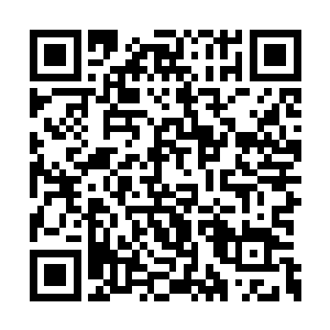 有几种非常难以炼制却可以提升血脉强度的神丹二维码生成