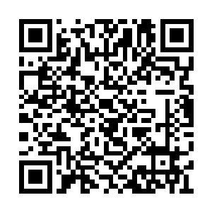 有凶猛如巨龙一样身达百里的太古凶兽横行天际二维码生成