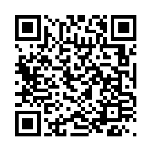 有十三号在我们就不是完全没有还手之力二维码生成