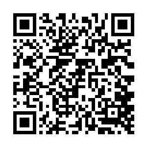 有十几只鬼魂发现了我脱离了大军扑向我满眼的渴望二维码生成