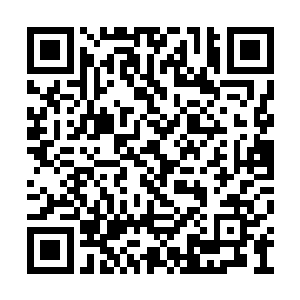 有可能也是为了这颗主宰魔神的分身留下的心脏二维码生成