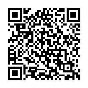 有可能会为这个家庭带来谁也无法预估到的灾难二维码生成